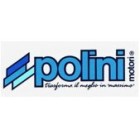 Polini