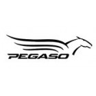 Pegaso